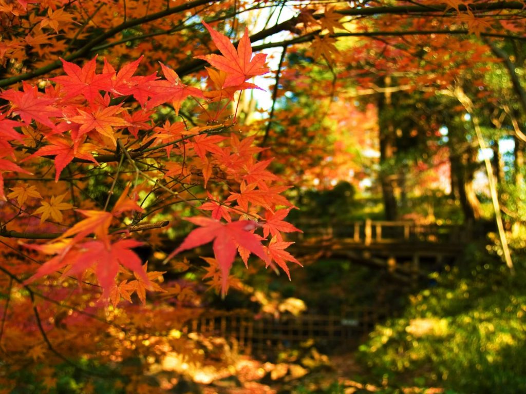 有栖川公園